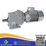 CKK Global Co., Ltd.