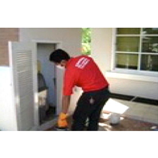 ปฏิบัติการกำจัดปลวก