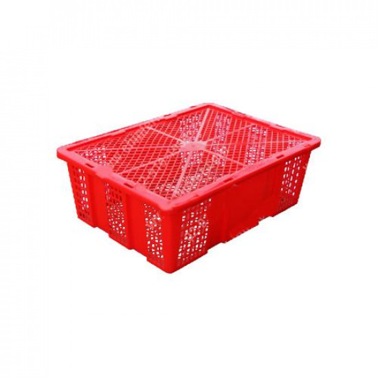 ตะกร้า-หลัว - ลัง พลาสติก ถังเก็บน้ำบนดิน  ถังเก็บน้ำใต้ดิน  ถังบำบัดน้ำเสีย  ถังขยะ  ตะกร้า  หลัว  ลัง  ลังพลาสติก  ถังแช่น้ำแข็ง  อุปกรณ์พลาสติก  ถัง 