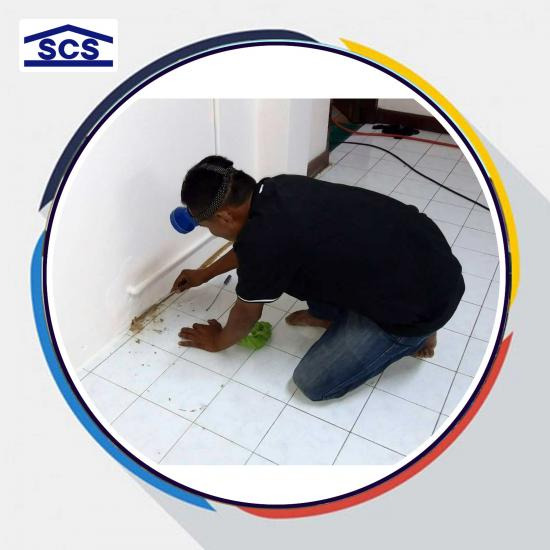 กำจัดปลวก ภาคอีสาน กำจัดปลวก ภาคอีสาน 