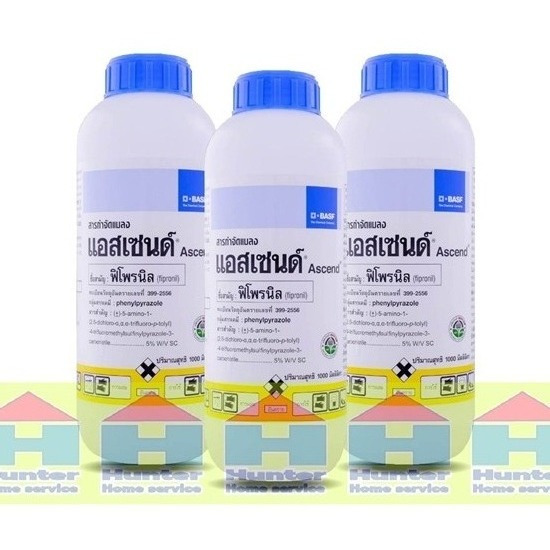 ยากำจัดปลวกแอสเซนด์ ยากำจัดปลวกแอสเซนด์ โคราช 
